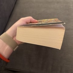 The Mahabharata Paperback