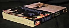 The Descendants: A Novel – By Hemmings, Kaui Hart – Paperback pages 297 – GOOD