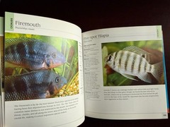 500 Freshwater Aquarium Fish: A Visual Reference Most Popular Species HC NICE!