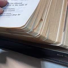 The Holy Bible edited by Rev. John P. O’Connell – 1958