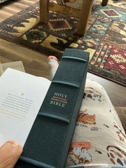 Filament Bible NLT 2-in-1 Print & Digital Bible Book Blue