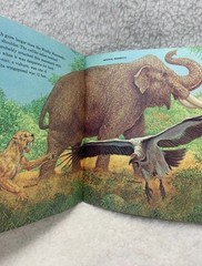 Prehistoric Animals By Peter Zallinger Childrens Book Random House Vintage 1978