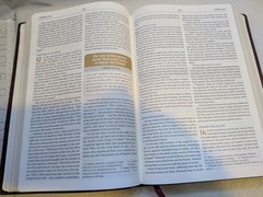 NIV Maxwell Leadership Bible Premium Bonded Leather BRAND 2011