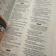 The NIV Action Study Bible by Sergio Cariello First Edition 2018 Used