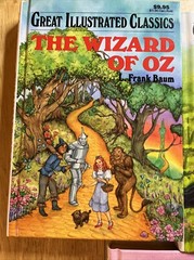 Lot of 5 Great Illustrated Classics – Hardcover- Wizard Of Oz, Little Mermaid