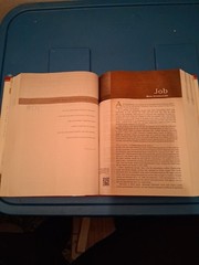 Jeremiah Study Bible, NKJV: Jacketed Hardcover : What It Says. What It Means….