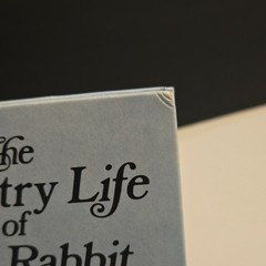 RARE The Country Life of J.B. Rabbit Doris Susan Smith Hardcover 1983 Children