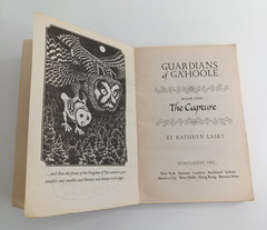 Guardians of Ga’Hoole Kathryn Lasky Bulk Lot 1 3 4 5 7 8 9 12 13 14 + Guide Book
