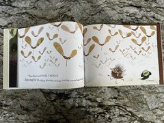 Lane Smith – Stickler Loves the World SIGNED 1st Edition