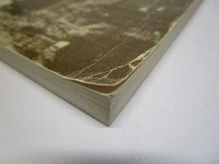 GOLD FEVER By Helen E. Wilson 3rd Printing 1987 Jarbridge Nevada