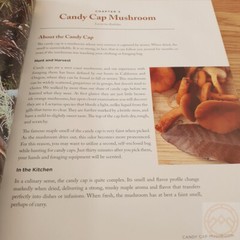 Wild Mushrooms Hand Book Cooking Foraging 115 Recipes Preserve Harvesting Safety