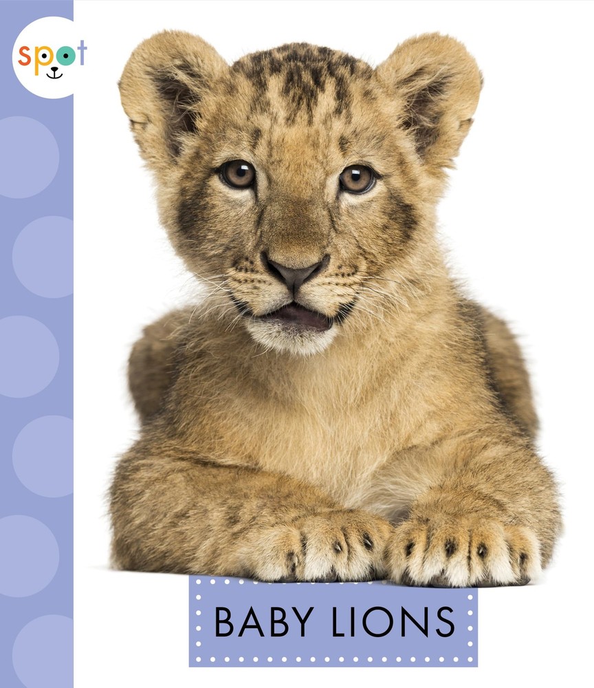 Baby Lions (Spot Baby Animals)