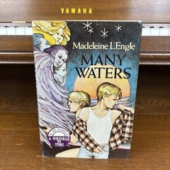 Many Waters by Madeleine L’Engle (1986, Hardcover) First Edition