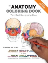 The Anatomy Coloring Book – Paperback By Wynn Kapit – VERY GOOD