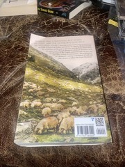 THROUGH THE EYES OF A SHEPHERD (LARGE PRINT EDITION) By Kenneth Winter PB