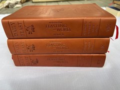 Daily Feast : Meditations from Feasting on the Word (Years A, B and C together)