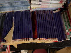 Lot of 30 RANDOM YOUTH Kids Chapter Books Instant Library Bundle