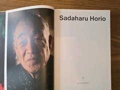 Sadaharu Horio Illustrated Hardcover Art Book by Yamamoto, Vervoordt, 2011