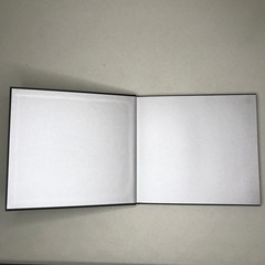 Staging Pictures Early Polaroids Robert Stivers Signed 1st Ed 2017 Ltd 450 HC DJ