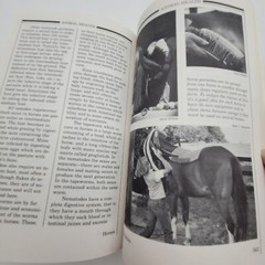 Animal Health Livestock and Pets 1984 Yearbook of Agriculture