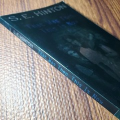 That Was Then This Is Now S.E. Hinton 2003 Paperback Fiction Speak