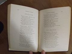 ~ PRAIRIE FLOWERS John Beebe 1891 1st Edition KANSAS & INDIANA ~
