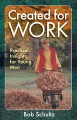 Created for Work: Practical Insights for Young Men – Paperback – GOOD