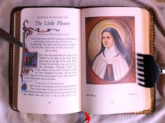 THE CATHOLIC FAMILY BOOK OF NOVENAS – John J. Crawley, Publisher (Leather) 1956
