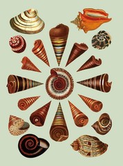 The Antiquarian Sticker Book: Over 1,000 Exquisite Victorian Stickers (The