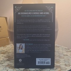 Lysa TerKeurst The Best Yes Making Wise Decisions Trade Paperback 2014