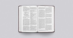 Large Print Value Thinline Bible (Trutone, Mahogany, Border Design)