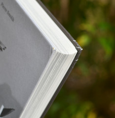 The Freak: Chaplin’s Last Film Signed By Pierre Smolik 344 pages