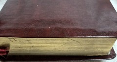 The Net Bible • New English Translation • (2005 • Bonded Burgundy Leather) Good