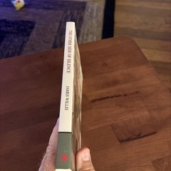 Other Side of Silence : A Civil War Novel, Paperback by James Willis 2007