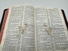 Holy Bible – King James Version – French Morocco Leather – Oxford