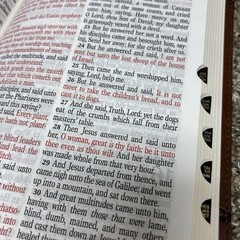 KJV Giant Print Bible | Indexed | Brown Crown of Thorns | red letter