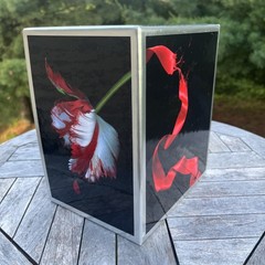 The Twilight Saga Complete 4-Book Box Set by Stephenie Meyer – MT Books Edition