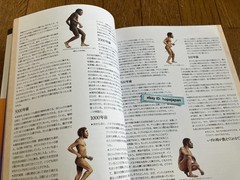 Man After Man An Anthropology of the Future Re Edition by Dougal Dixon