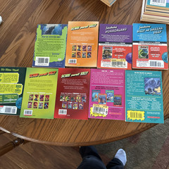 Give Yourself Apple Fiction Scholastic Goosebumps RL Stine Lot 25