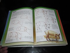 Terry Longhurst „I Can Draw..” Youth Young Adult Book Art Artwork Animals People