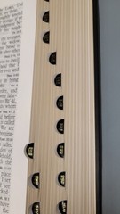 KING JAMES VERSION (KJV) STUDY BIBLE WITH DANIEL, REVELATION STUDY HELPS, MORE!!