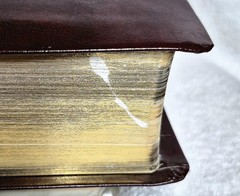 The Net Bible • New English Translation • (2005 • Bonded Burgundy Leather) Good