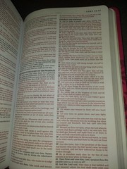Red King James Version Holy Bible Imitation Leather Small Print in English