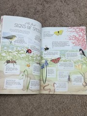 DAPHNE’S DIARY MAGAZINE Issue 02 2026 Handmade Crafts Mindfulness Recipes