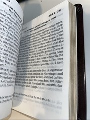 Daily Light Devotional (Burgundy Leather) – Leather Bound – GOOD