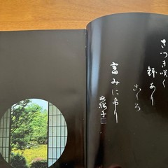 Satsuki Bonsai Photo Book Japan Satsuki Culture Promotion Hardcover 312pg Used