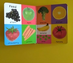 First 100 Ser.: First 100 Words : A Padded Board Book by Roger Priddy (2011,…