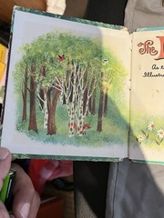 VINTAGE 6 BOOK BUNDLE LOT Mid Century 1930s-1960s Pinocchio Little Golden Wonder