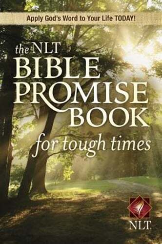The NLT Bible Promise Book for Tough Times (Softcover) by Ronald A Beers: New