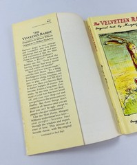 The Velveteen Rabbit Margery Williams 1980s Doubleday HCDJ Original 1922 Art